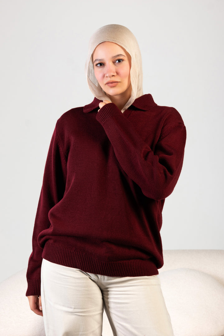 Knitted Polo Sweater